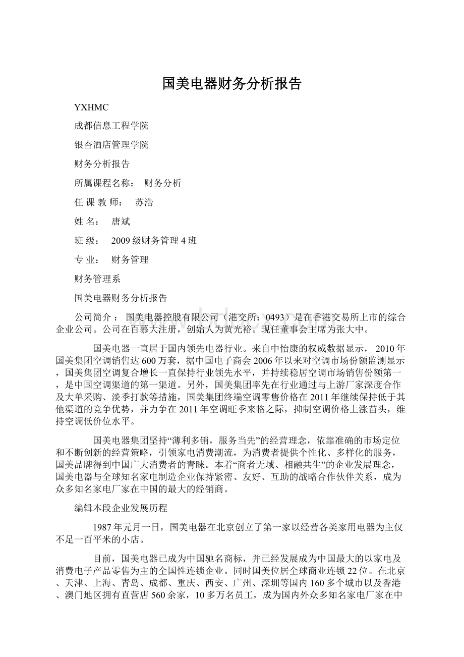 国美电器财务分析报告.docx_第1页