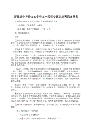 新部编中考语文文学类文本阅读专题训练训练含答案.docx