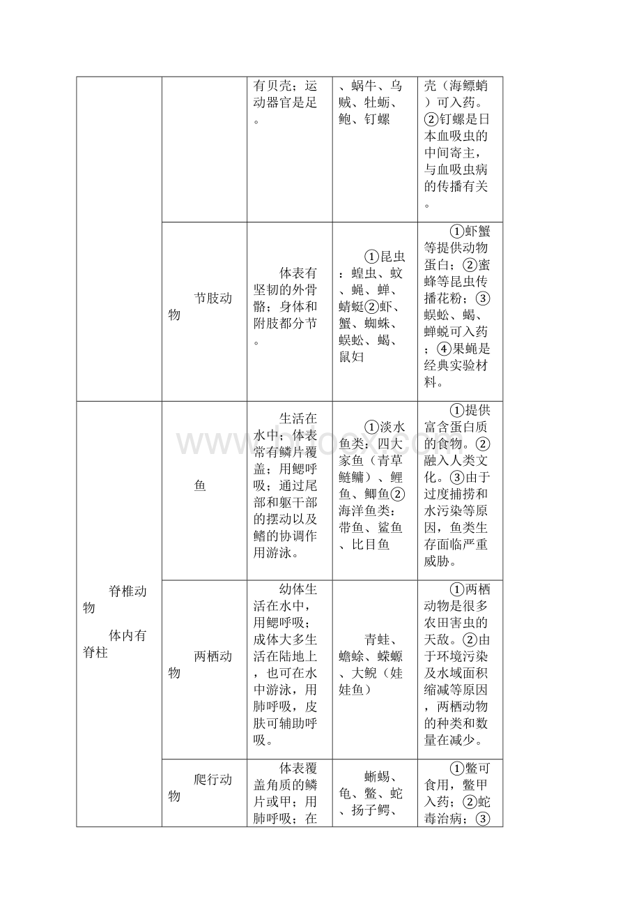 人教版八年级生物上册知识点详细精华版电子教案文档格式.docx_第2页