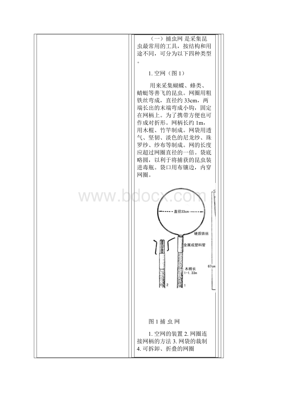 昆虫标本的采集制作及保存方法档.docx_第2页