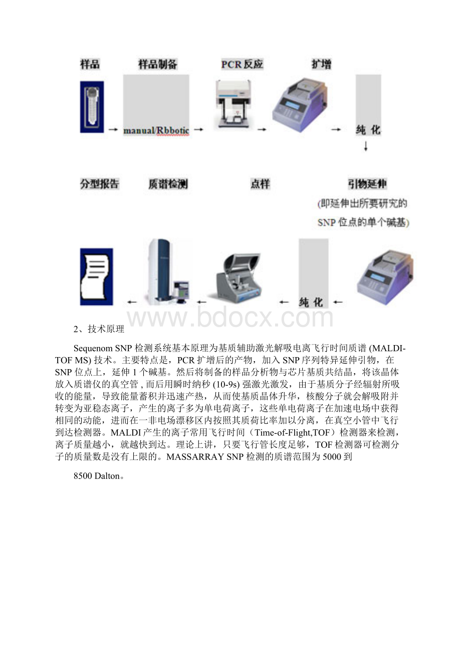 MASSARRAY原理Word文档格式.docx_第3页