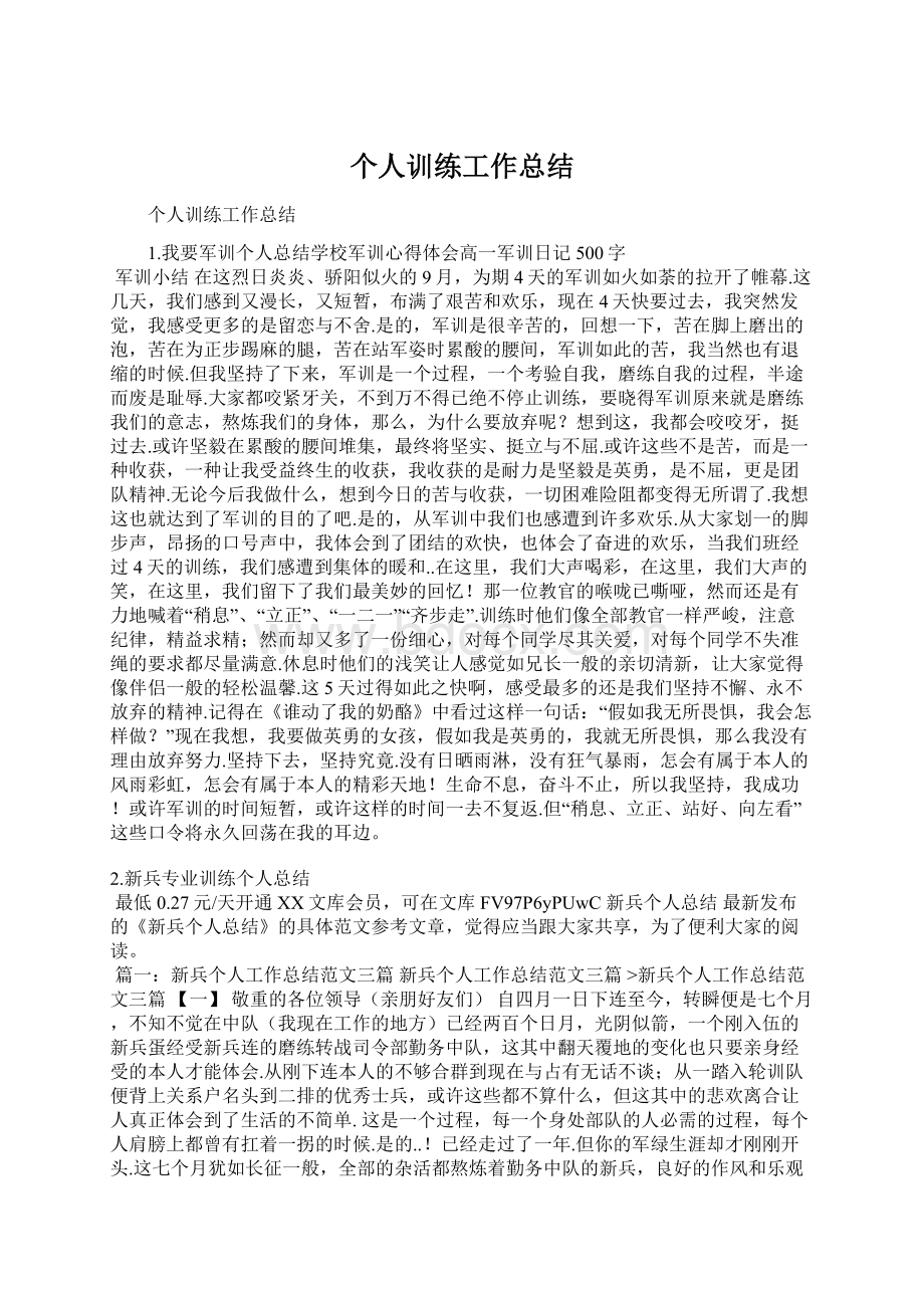 个人训练工作总结Word格式文档下载.docx_第1页