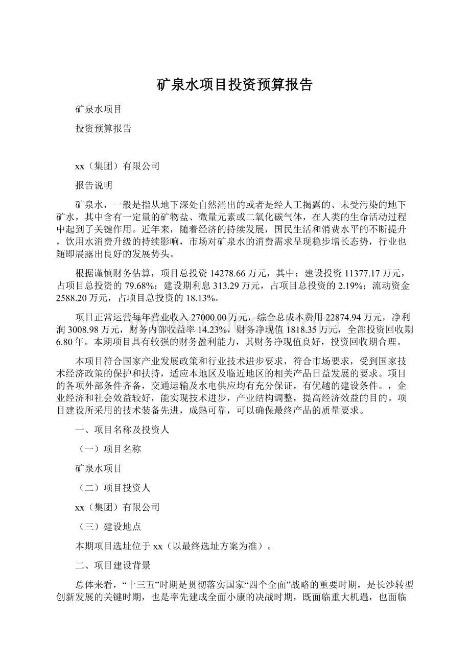 矿泉水项目投资预算报告.docx_第1页