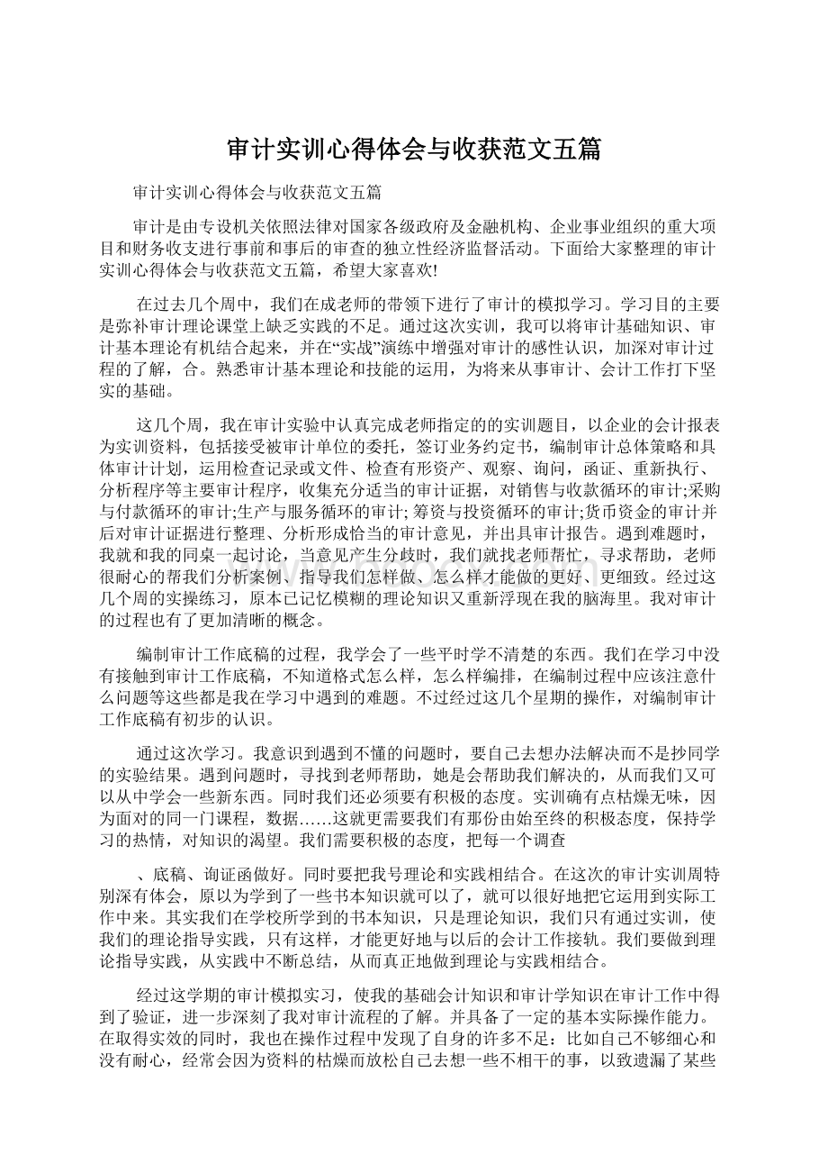 审计实训心得体会与收获范文五篇.docx