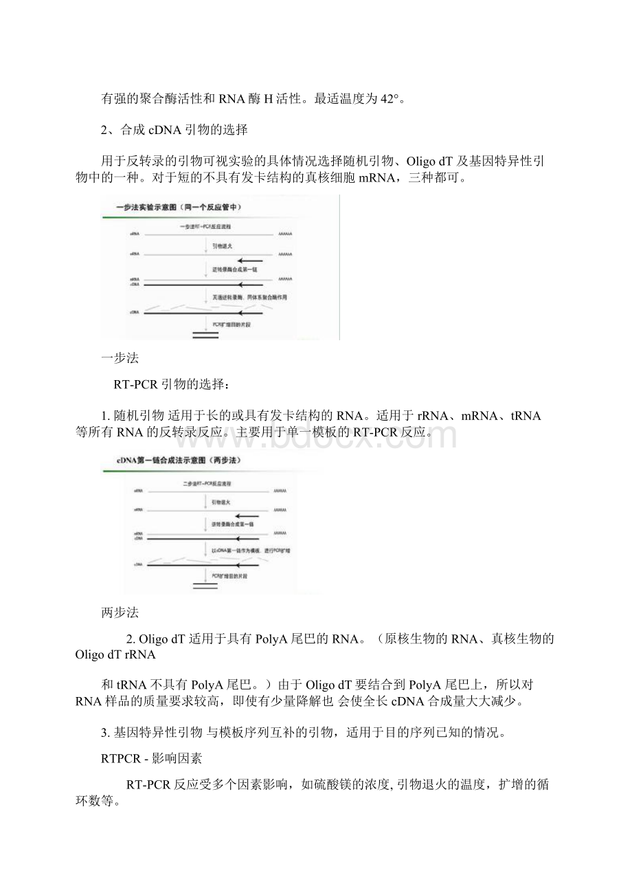 最权威最齐全的PCR汇总和原理程序文件.docx_第2页