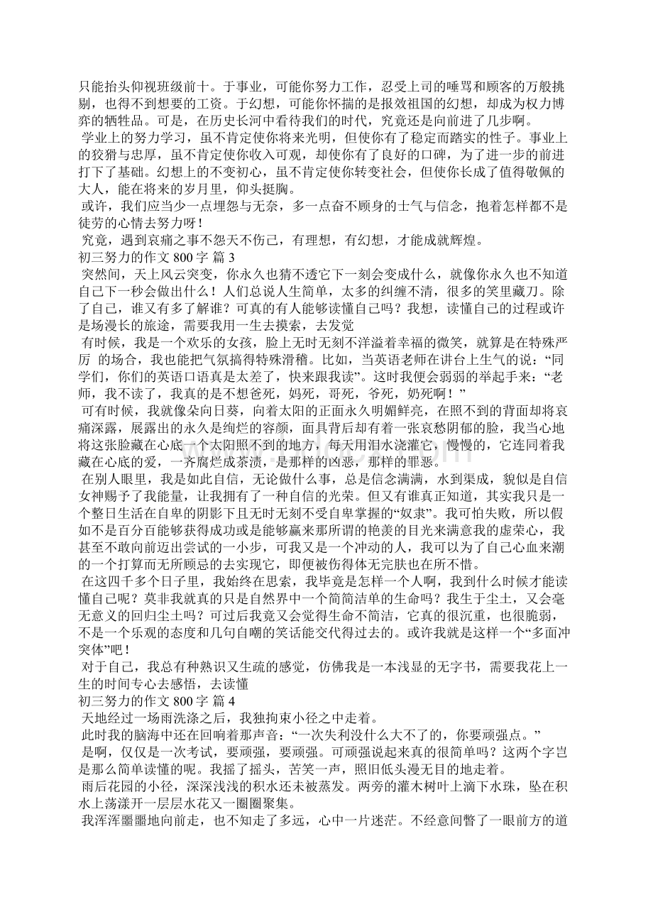 有关努力的作文800字13篇Word文件下载.docx_第2页