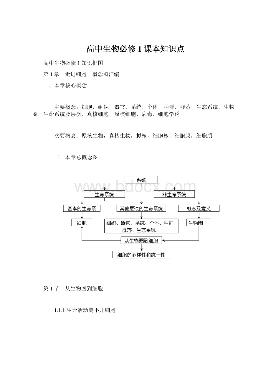 高中生物必修1课本知识点Word格式.docx_第1页