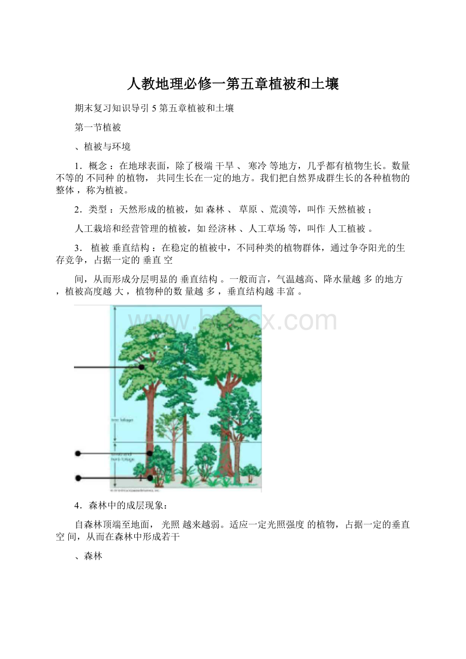 人教地理必修一第五章植被和土壤Word格式文档下载.docx