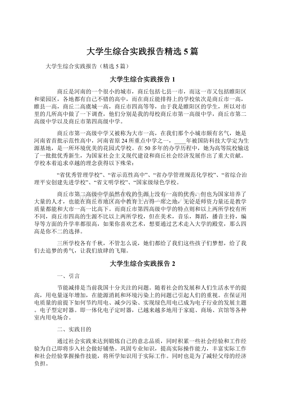 大学生综合实践报告精选5篇Word下载.docx_第1页