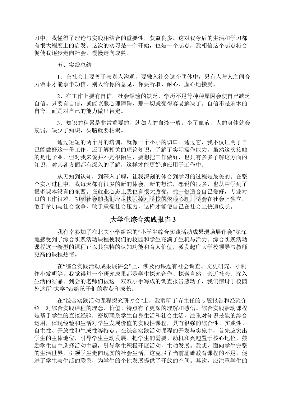 大学生综合实践报告精选5篇Word下载.docx_第3页