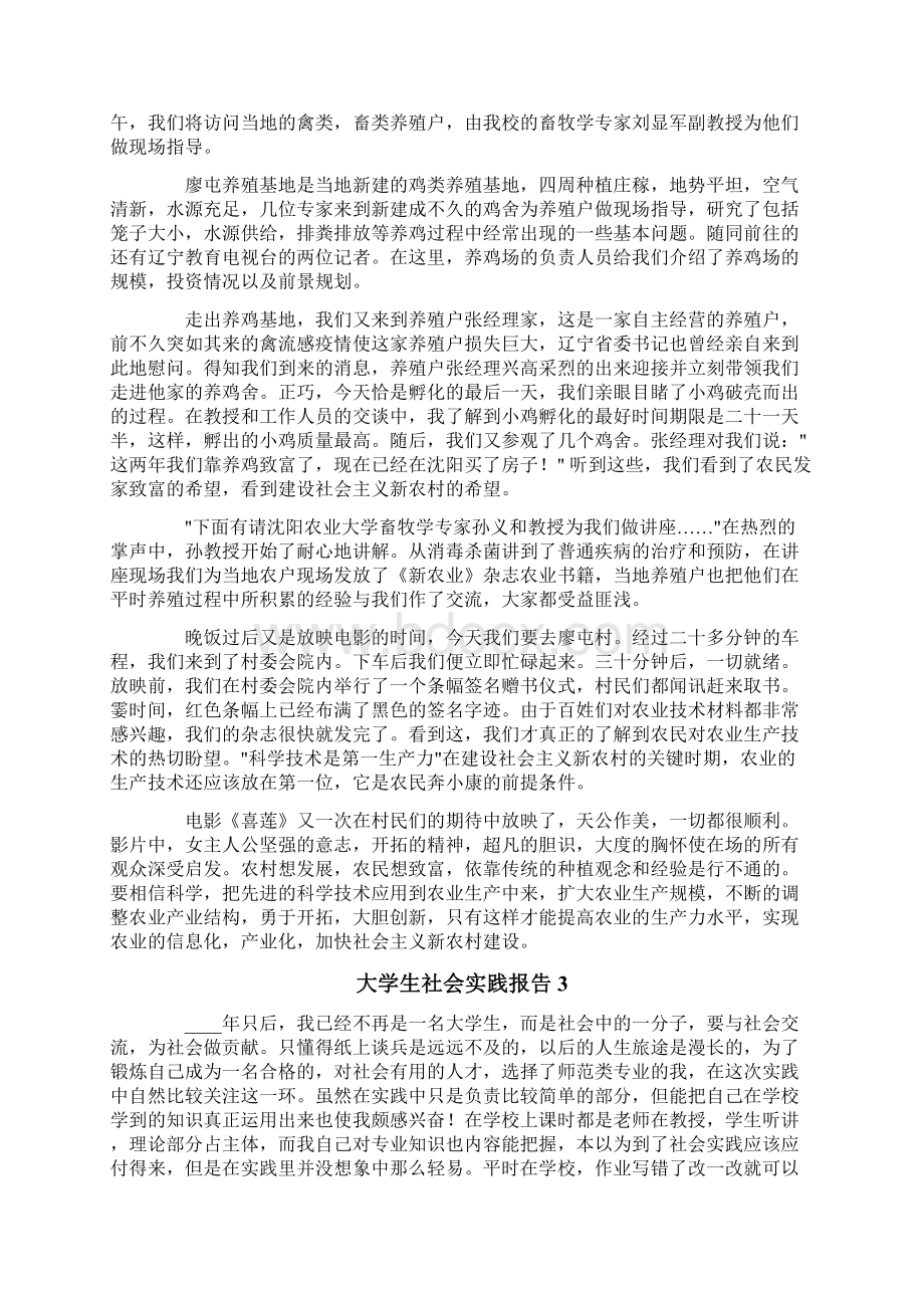 大学生社会实践报告10篇文档格式.docx_第2页