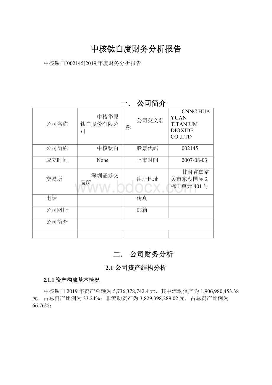 中核钛白度财务分析报告Word格式.docx