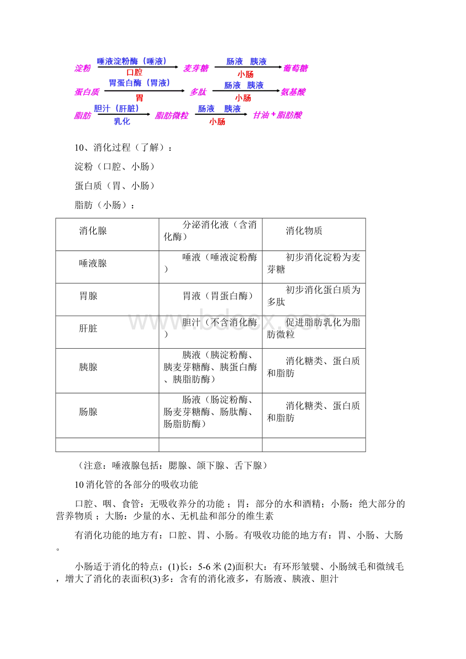 北师大版生物七年级下册知识点总结Word文档格式.docx_第3页