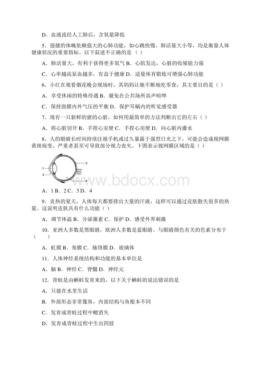 北京市牛栏山一中实验学校学年七年级第二学期份阶段性检测生物试题.docx_第2页