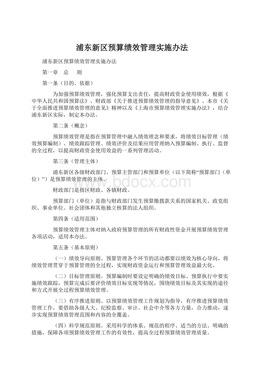 浦东新区预算绩效管理实施办法.docx