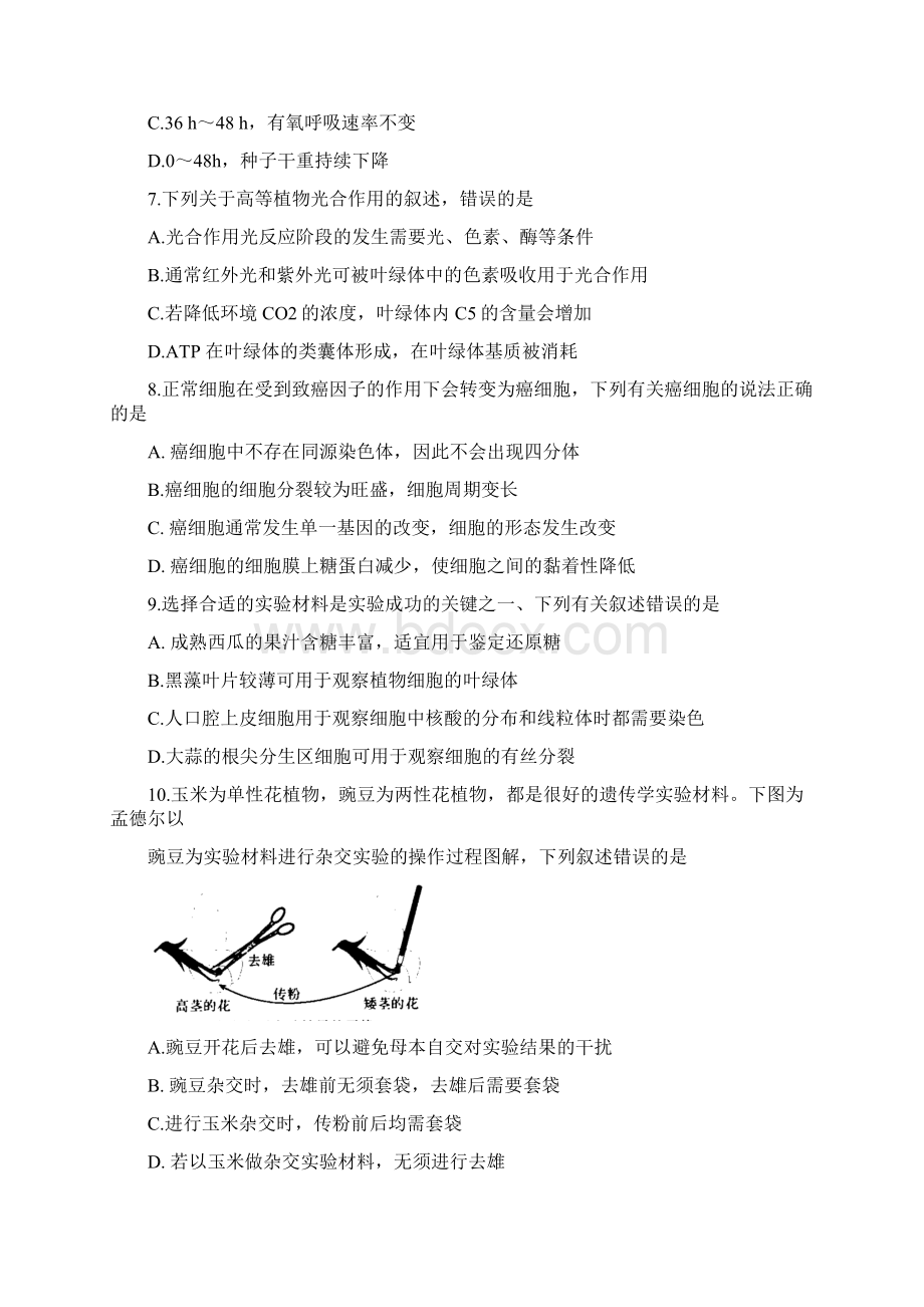 河南省名校联盟学年高一下学期期中考试生物试题 含答案.docx_第3页