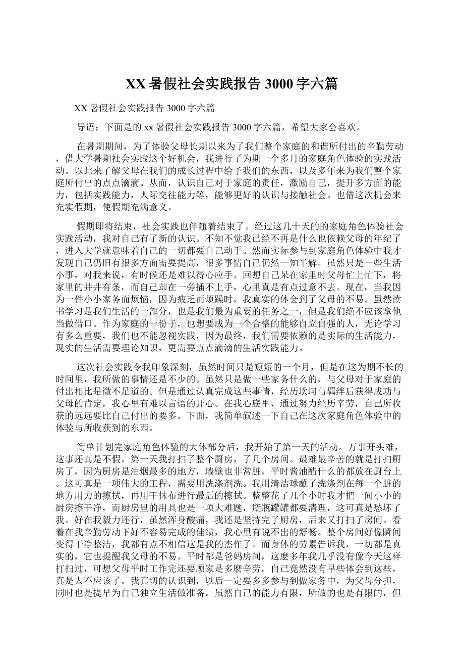 XX暑假社会实践报告3000字六篇.docx