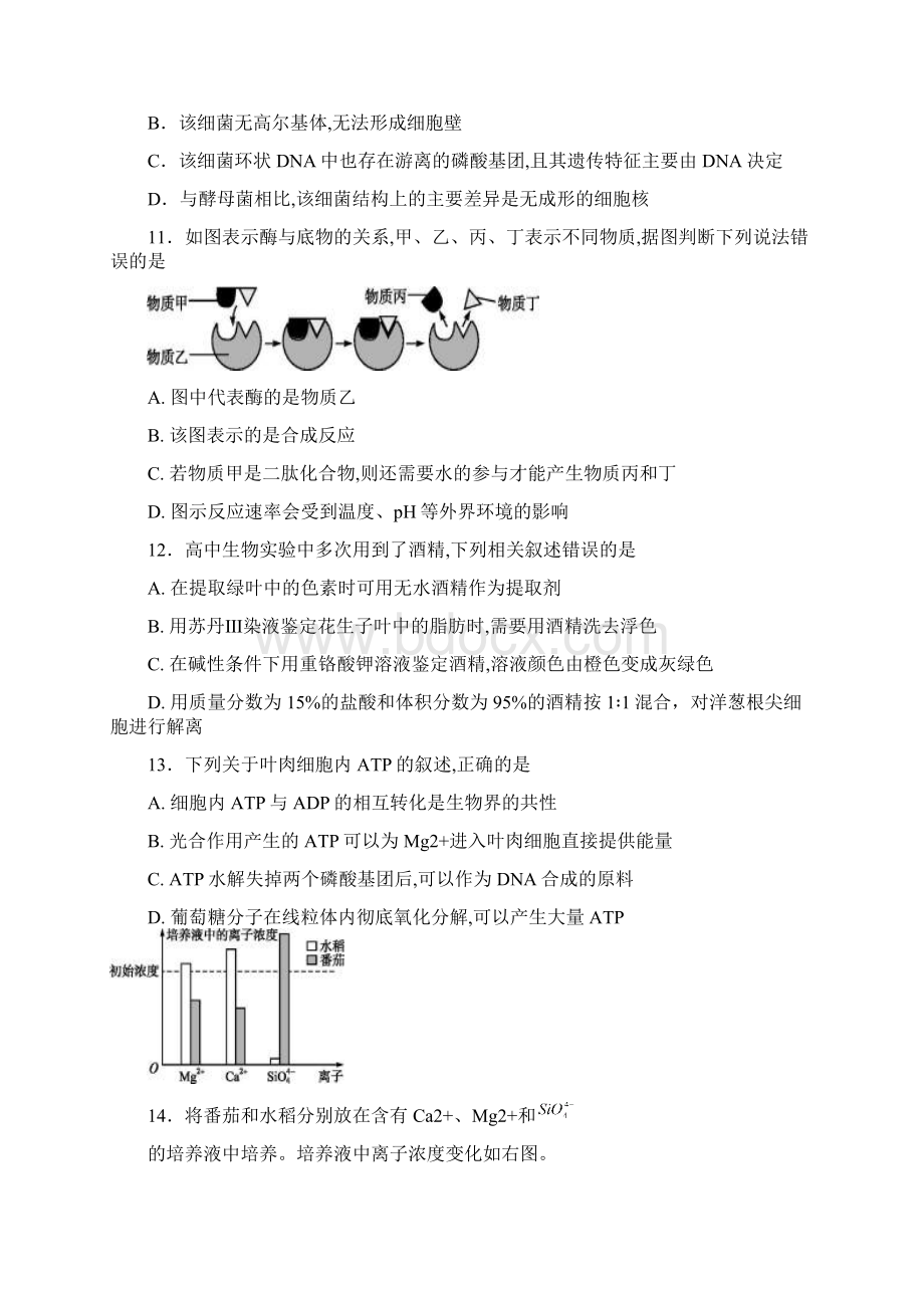 生物辽宁省营口中学学年高二上学期期末考试.docx_第3页