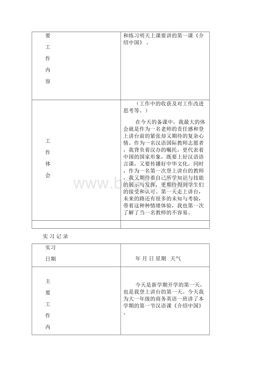 对外汉语教学实习记录.docx_第3页