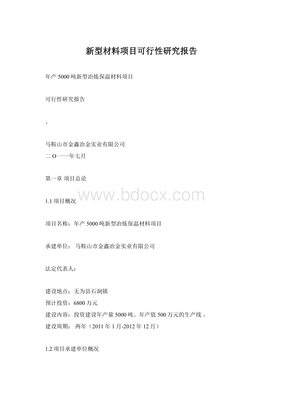 新型材料项目可行性研究报告.docx_第1页