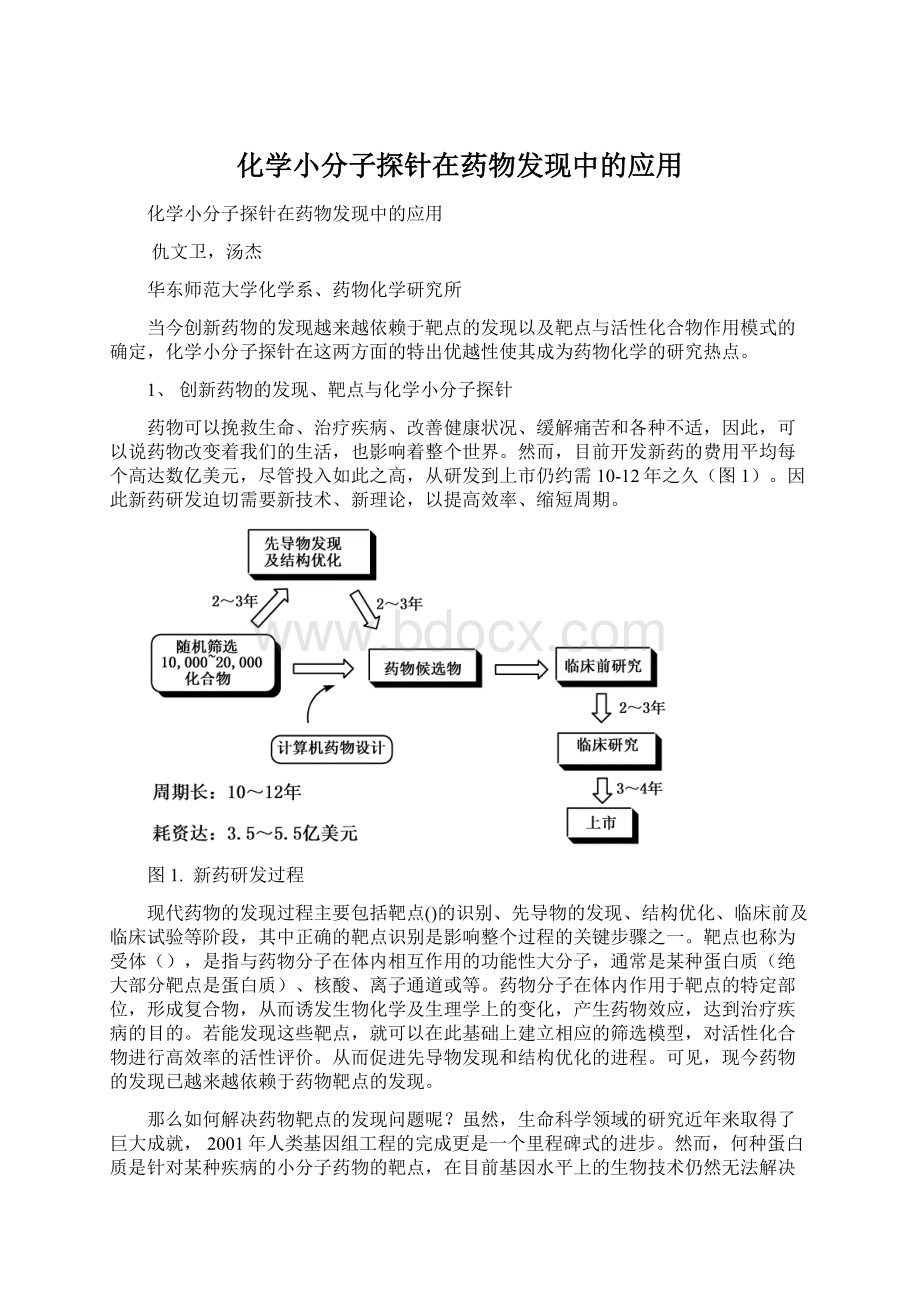 化学小分子探针在药物发现中的应用.docx