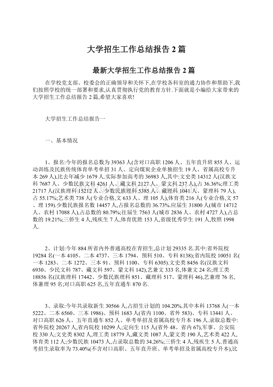 大学招生工作总结报告2篇Word文档格式.docx