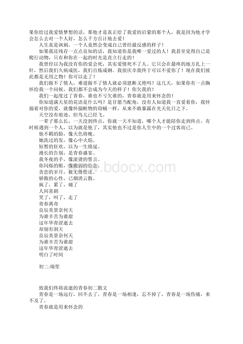 致我们终将流逝的青春初二散文文档格式.docx_第2页