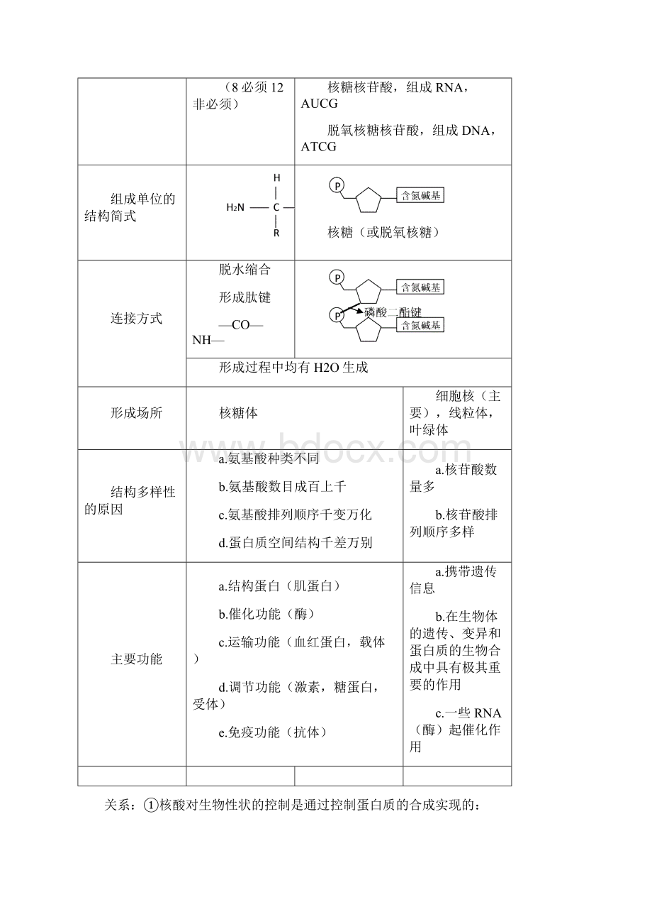 生物二轮复习知识点总结专题一Word格式.docx_第3页