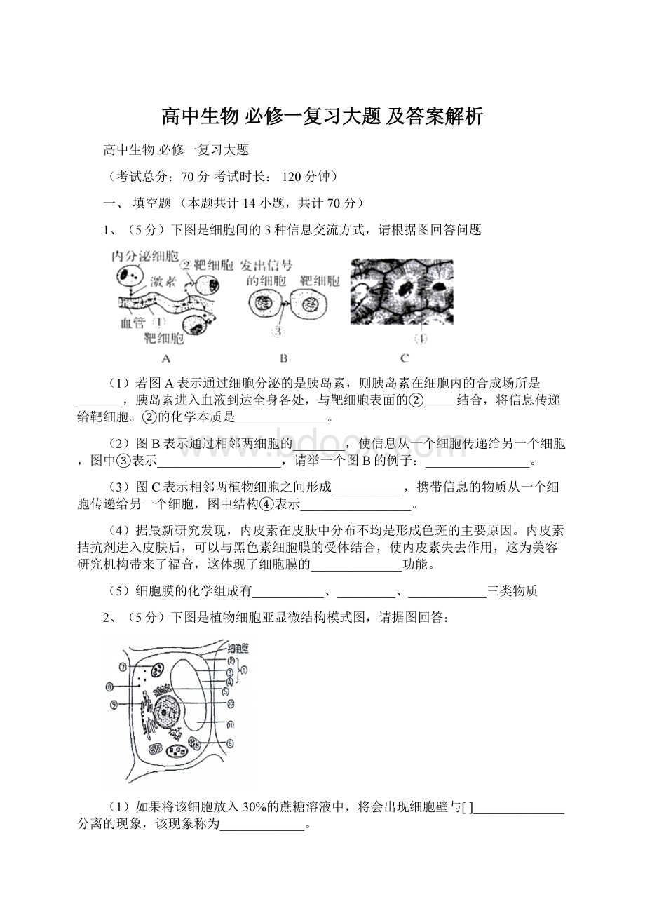 高中生物 必修一复习大题 及答案解析.docx