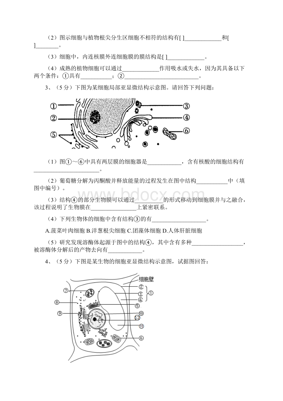 高中生物 必修一复习大题 及答案解析.docx_第2页