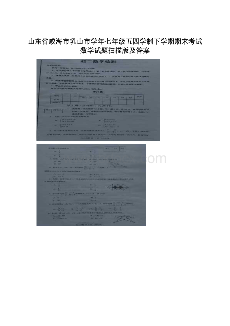 山东省威海市乳山市学年七年级五四学制下学期期末考试 数学试题扫描版及答案.docx