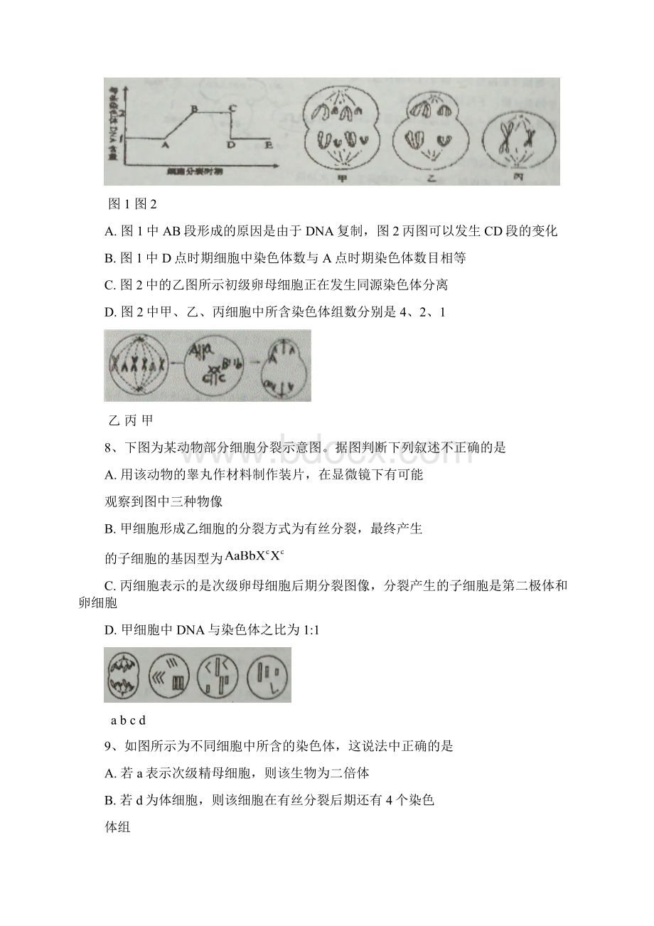 黑龙江省兆麟中学届高三上学期第三次月考生物试题.docx_第3页