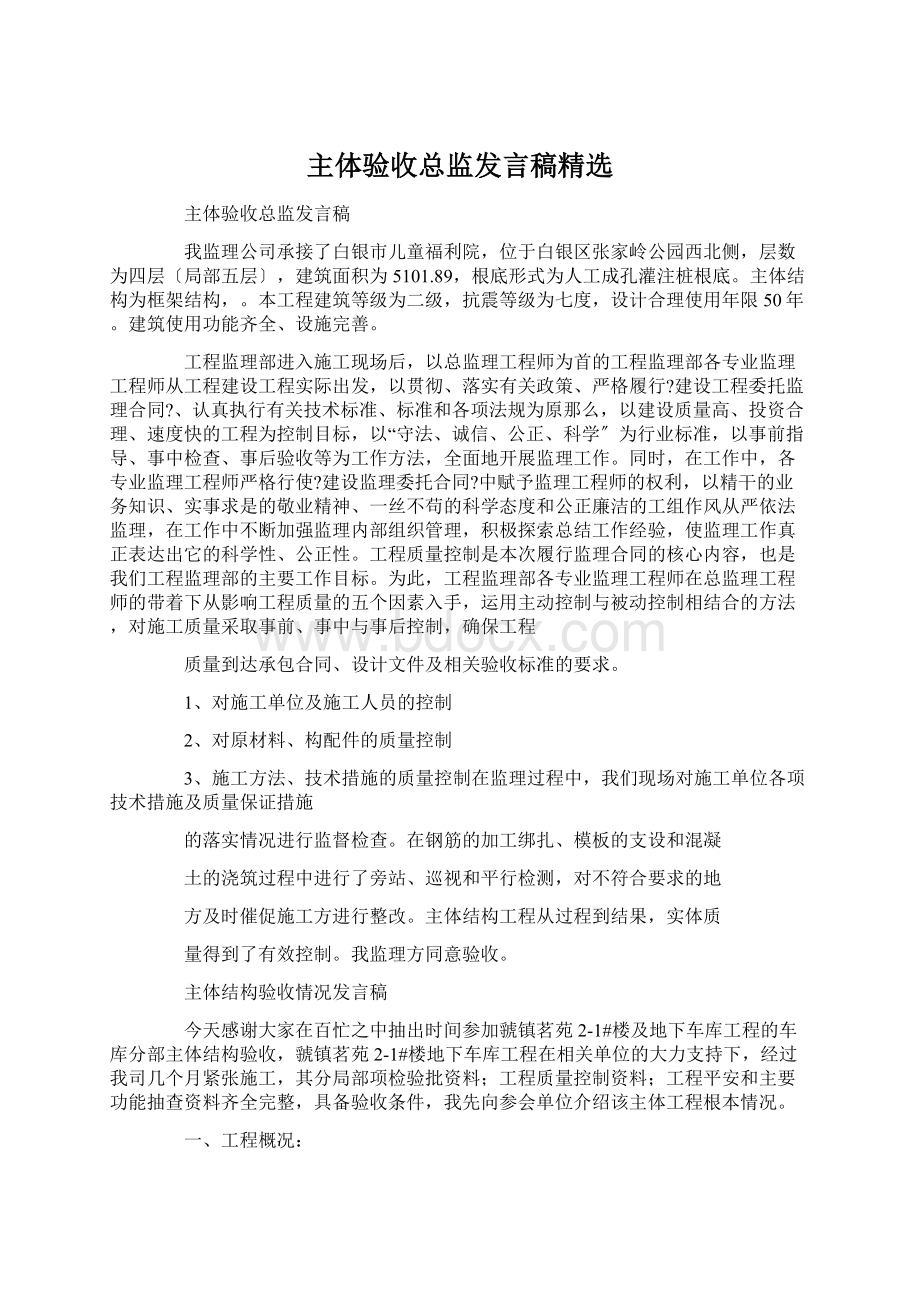 主体验收总监发言稿精选Word文档格式.docx