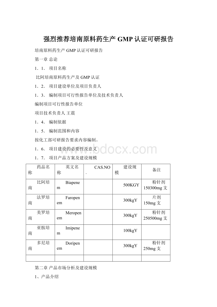 强烈推荐培南原料药生产GMP认证可研报告.docx_第1页