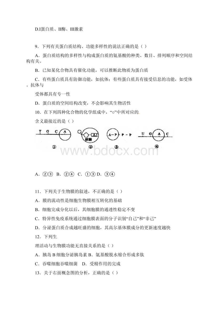 山东省莘州中学届高三上学期中段模块测试生物试题Word文件下载.docx_第3页