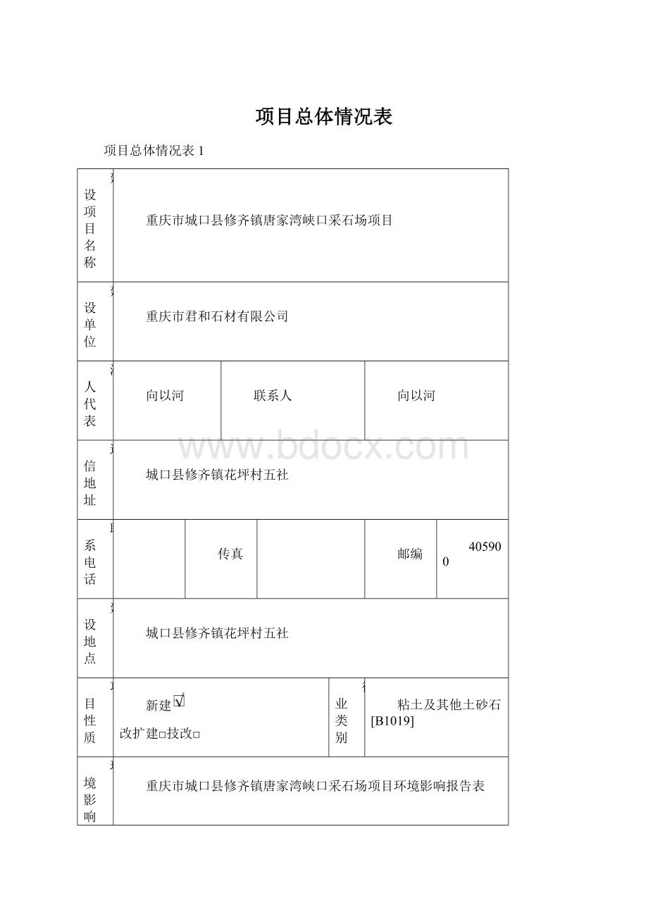 项目总体情况表.docx_第1页