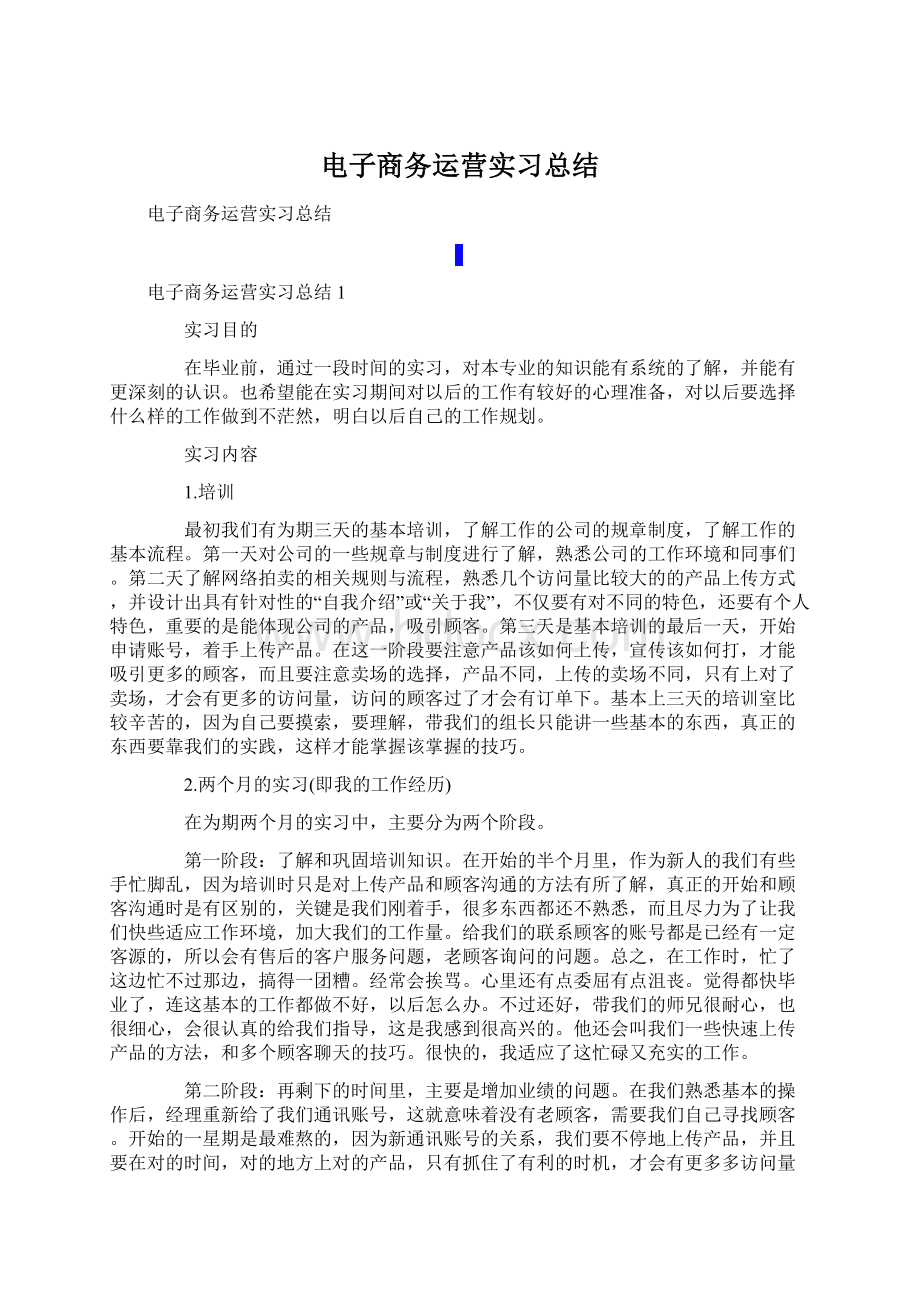 电子商务运营实习总结Word文档格式.docx_第1页