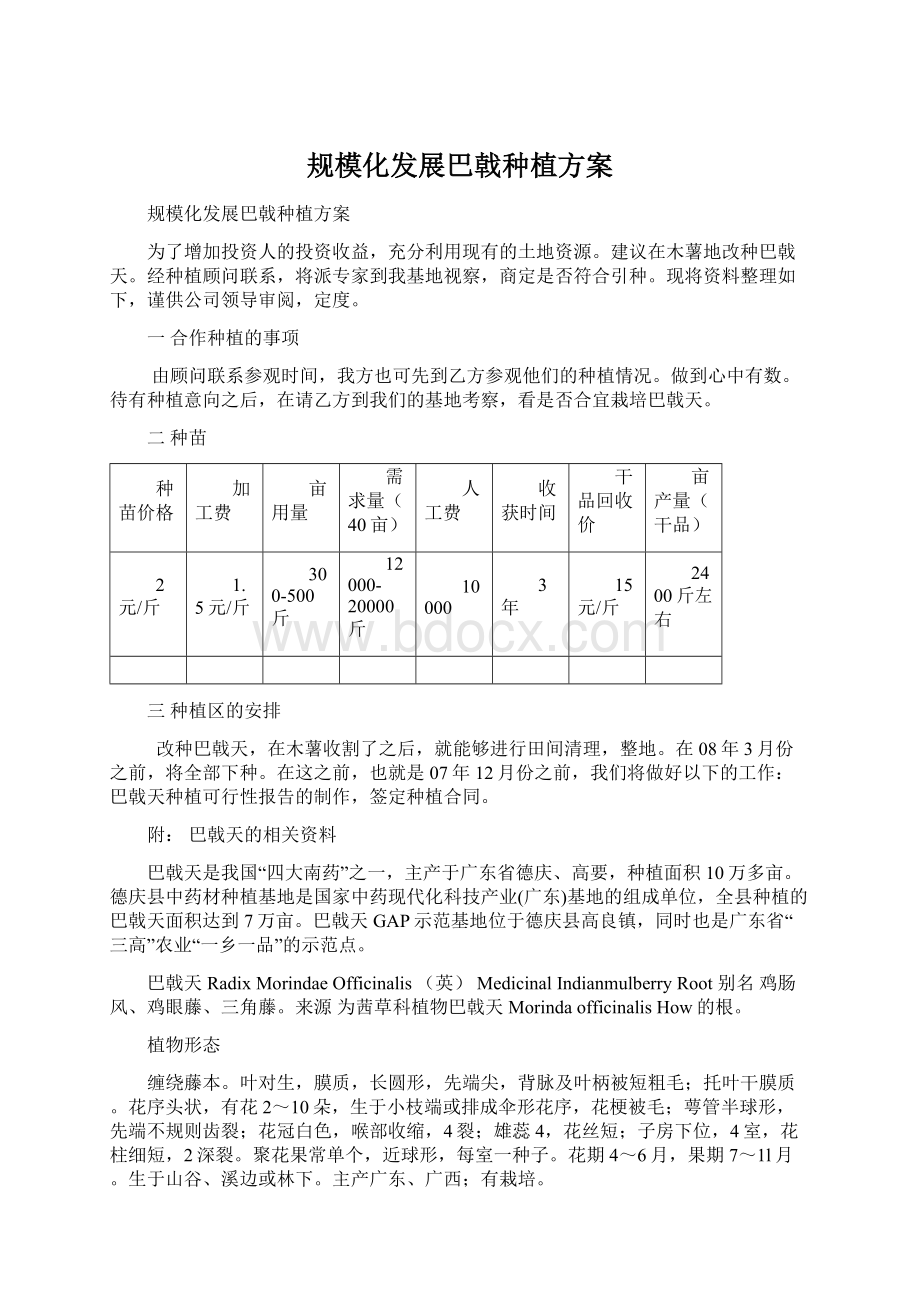 规模化发展巴戟种植方案.docx