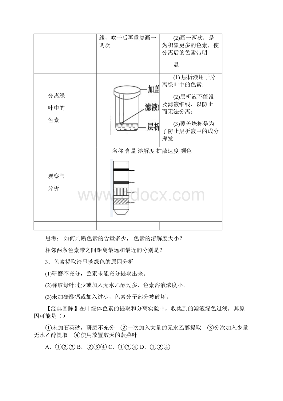 54 光合作用.docx_第3页