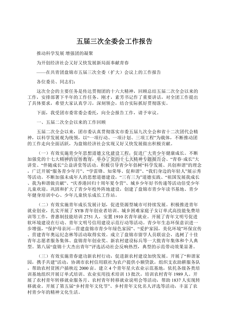 五届三次全委会工作报告.docx