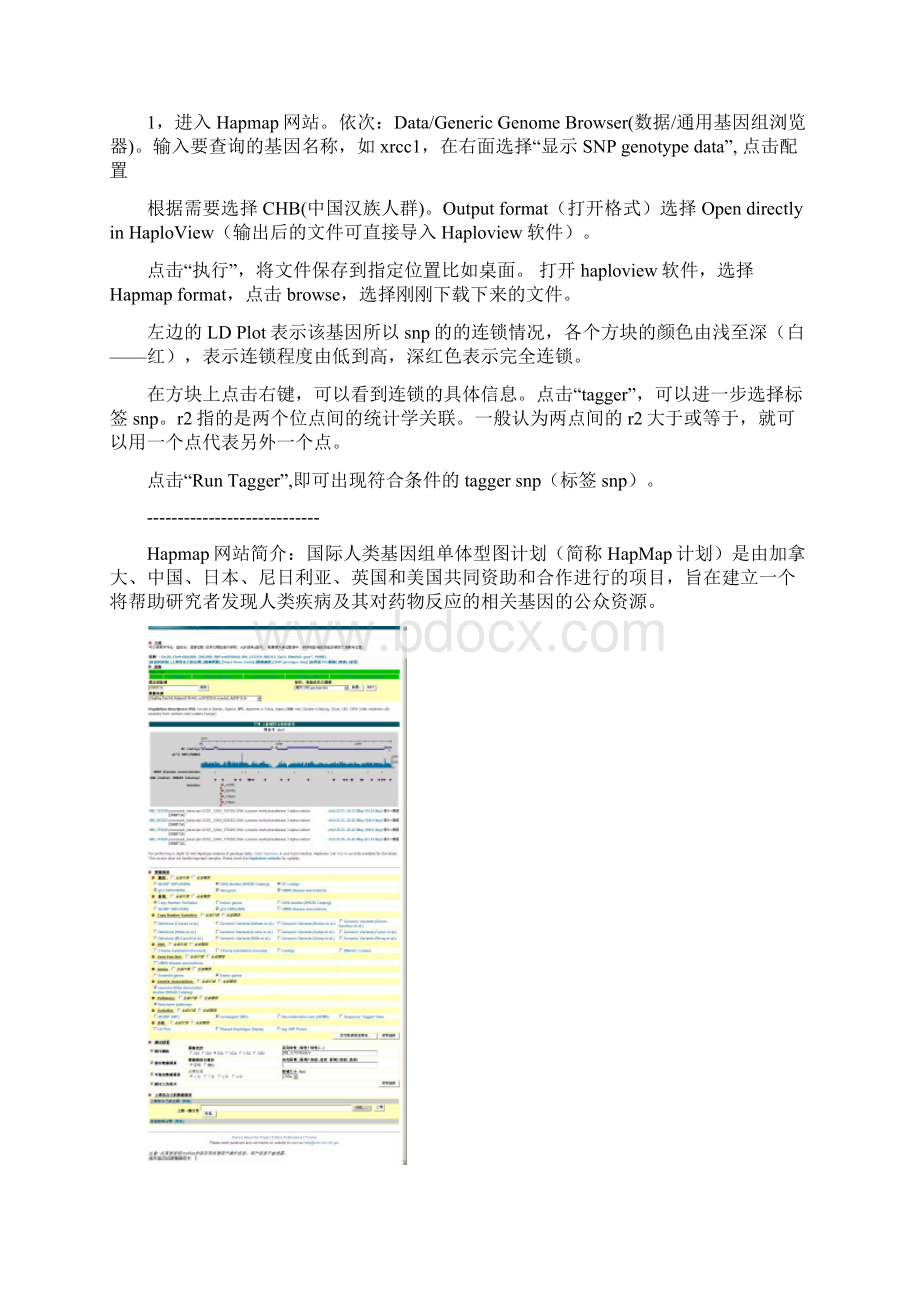 Haploview使用方法图解StepByStepWord文档格式.docx_第2页