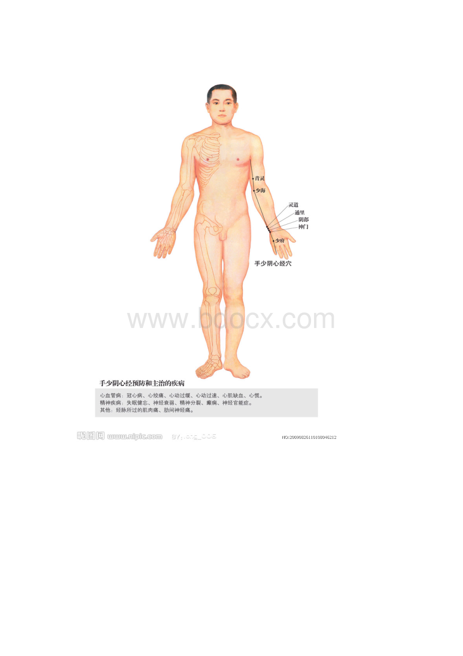 全身经络示范图汇集打印版Word文档下载推荐.docx_第3页