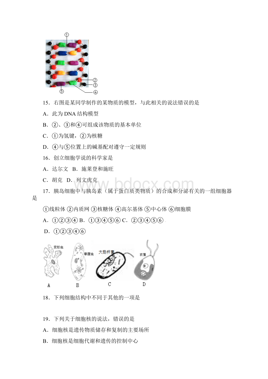 江苏省沭阳县学年高一生物上学期期中试题.docx_第3页