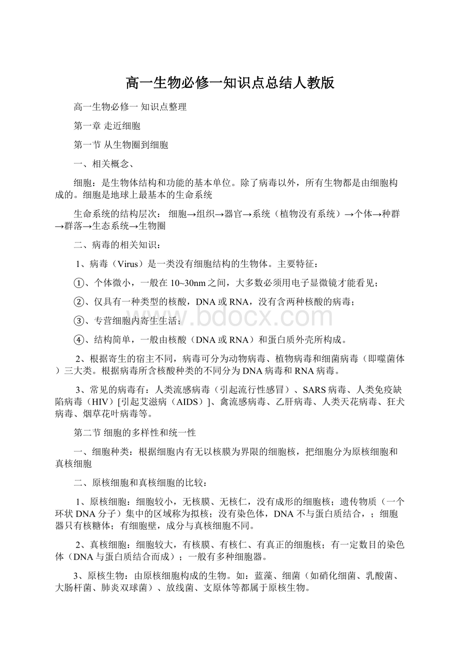 高一生物必修一知识点总结人教版Word文件下载.docx