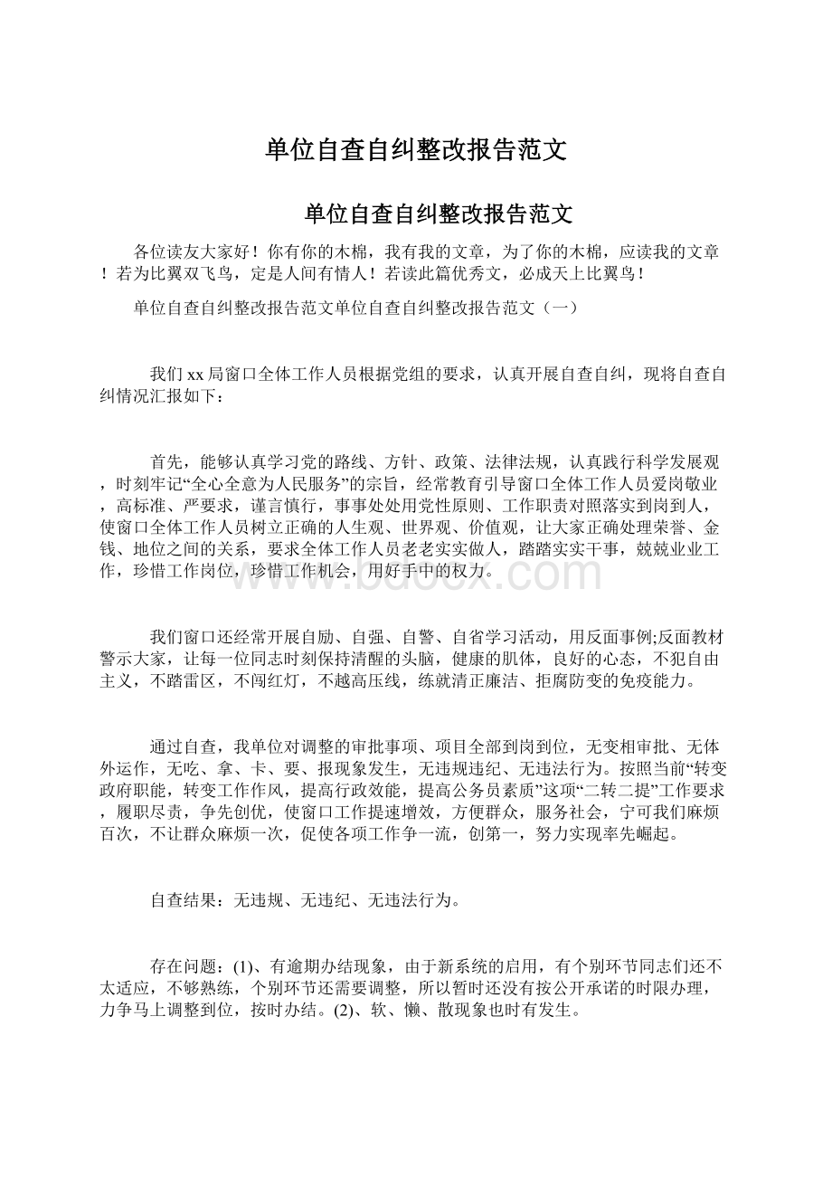 单位自查自纠整改报告范文Word格式文档下载.docx