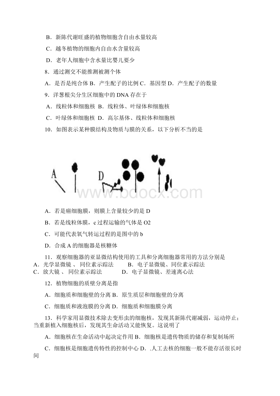 江门市普通高中高一调研测试.docx_第2页