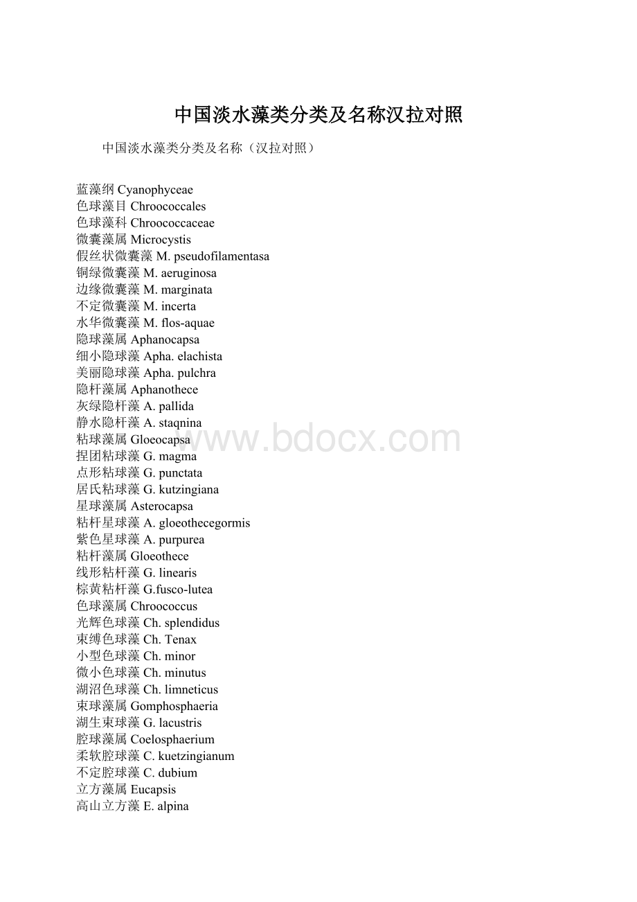 中国淡水藻类分类及名称汉拉对照.docx