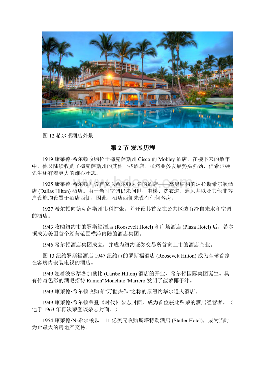 希尔顿酒店集团战略分析.docx_第3页