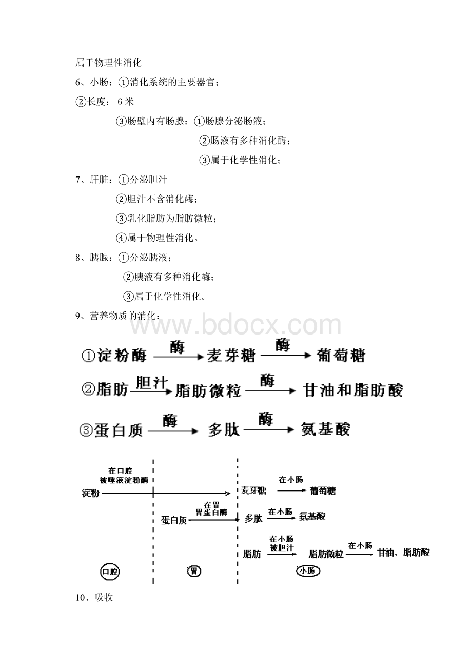 1生物知识点1Word文档下载推荐.docx_第3页