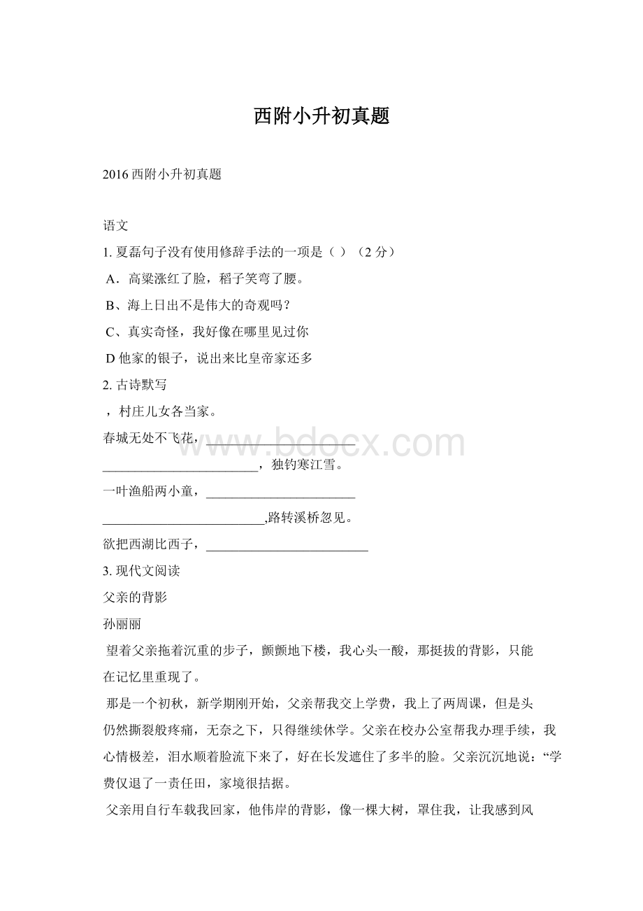 西附小升初真题Word文档下载推荐.docx